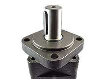 Detailansicht Langsamlaufender Hydraulikmotor Typ: OMS